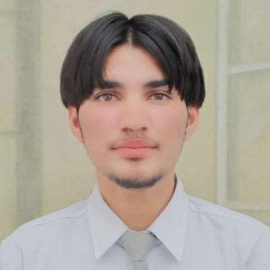 Vishal B. - Freelance Data Collector