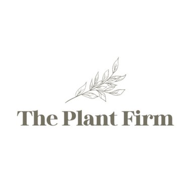 theplantfirm - Freelance 1st Assistant Director