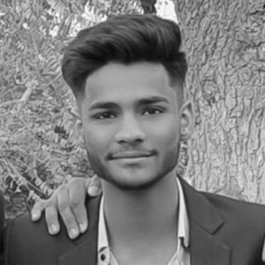 Ayush S. - Freelance Web Designer