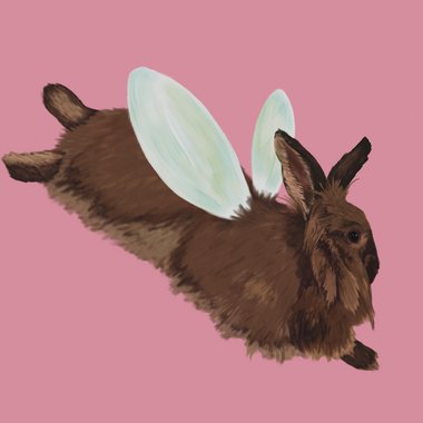 Aniya T. - Freelance Art Director