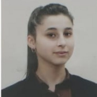 Elmira M. - Freelance Data Collector