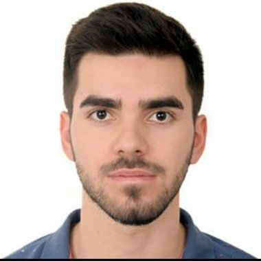 Andrei B. - Freelance Database Developer