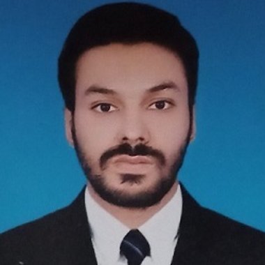 Hafiz F. - Freelance Developer