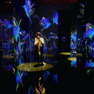 Lucy - Freelance Freelance Digital Illustrator