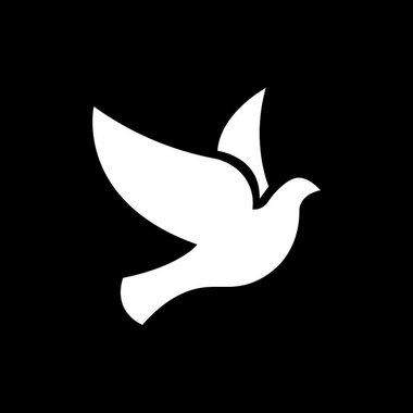 Brandon S. - Freelance Video Editor