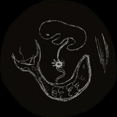 Klaus T. - Freelance Freelance Digital Illustrator