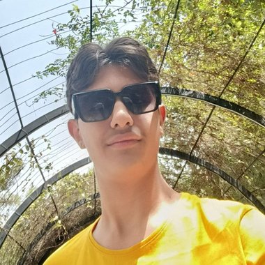 Mohammad S. - Freelance Web Developer