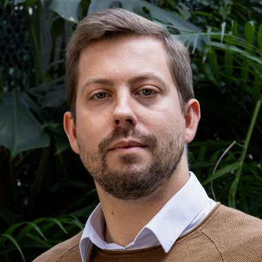 David V. - Freelance Developer