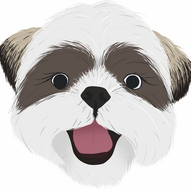 Zoe W. - Freelance T Shirt Designer