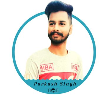 Parkash S. - Freelance Web Designer