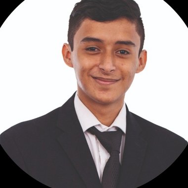 Davis R. - Freelance Ai Engineer