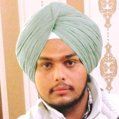 Palveer S. - Freelance Seo Expert