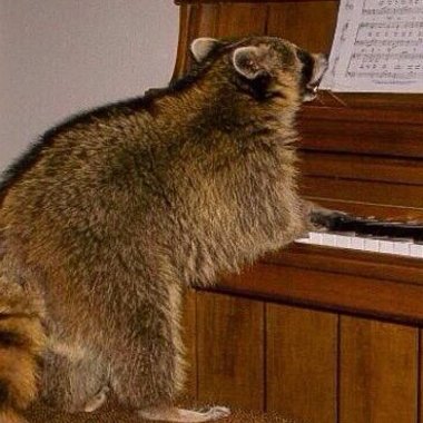 Manuel S. - Freelance Composer