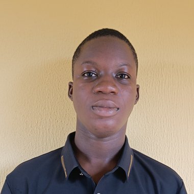 Oseni I. - Freelance Ai Strategy Consultant