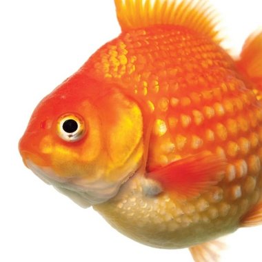 Leonard K. - Freelance Storyboard Artist