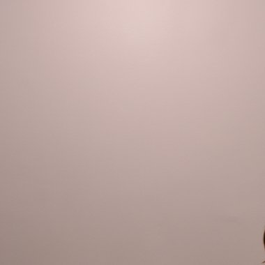 Bohdan K. - Freelance Musician