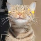 Aleksandra Chausheva