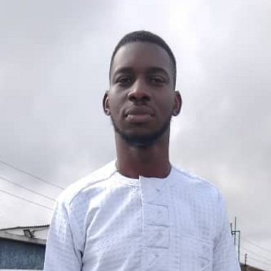 Damola A. - Freelance Data Visualizer