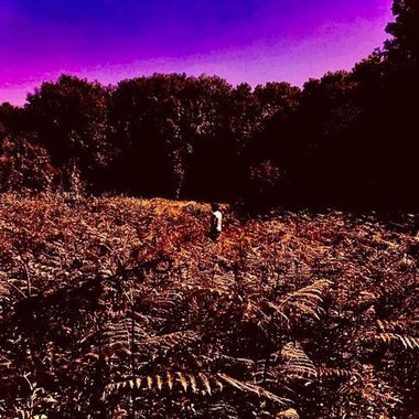 KielanLee98 - Freelance Band