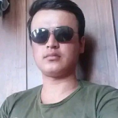 MohammadReza - Freelance Writer