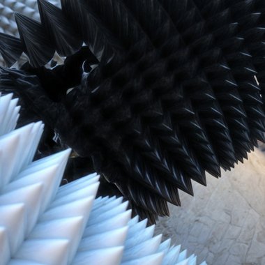 Sam H. - Freelance Motion Graphic Designer