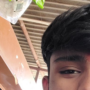 Gaurav G. - Freelance Web Developer