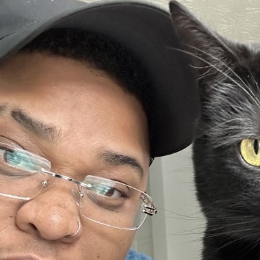 RushArt - Freelance Musician