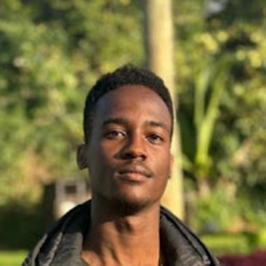 Collins T. - Freelance Ai Developer