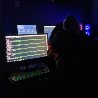 Felipe A. - Freelance Web Developer