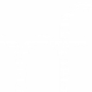 Maham D. - Freelance Photoshop Editor