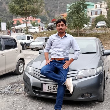 SABZ A. - Freelance Web Developer