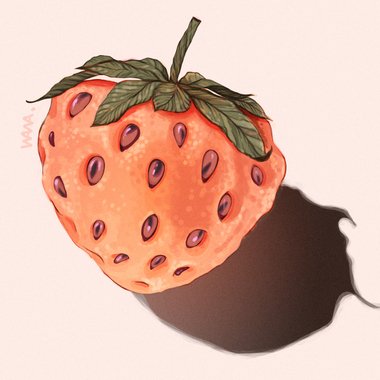 Elena W. - Freelance Illustrator