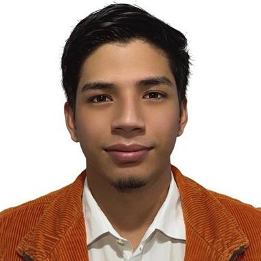 David Z. - Freelance Developer