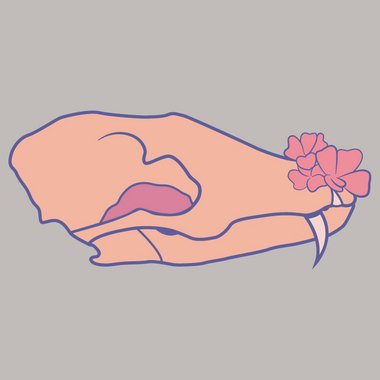 funeliland - Freelance Book Cover Designer