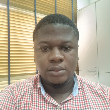 Ayodeji O. - Freelance Developer