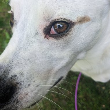 Reagan S. - Freelance Artist