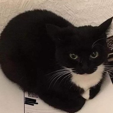 Santiago C. - Freelance 3d Animator