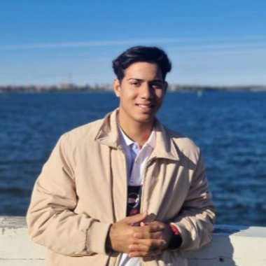 Arjun R. - Freelance Data Analyst