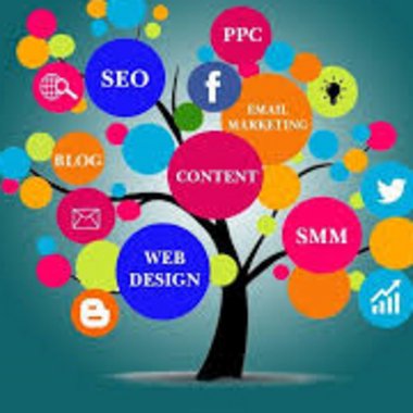 Yousra M. - Freelance Brand Designer