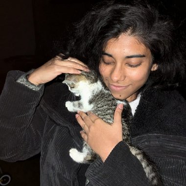 Kathakali (. - Freelance Vector Illustrator