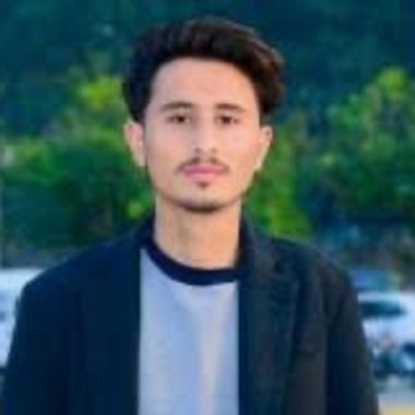 zulfiqar a. - Freelance Web Developer