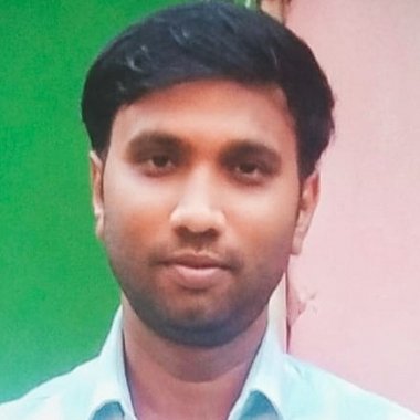 Somnath S. - Freelance Developer