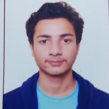 Raju P. - Freelance Data Visualizer