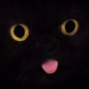 Daniel N. - Freelance 3d Animator