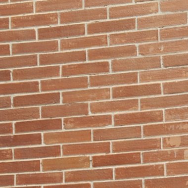 Ugwu C. - Freelance Brand Designer