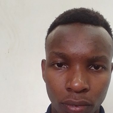 Dinya T. - Freelance Web Designer