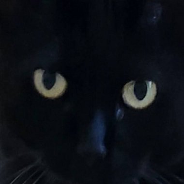 Vale Z. - Freelance Photographer