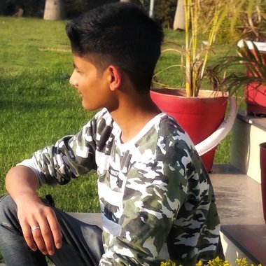 SAJAL - Freelance Seo Expert