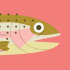 Charlotte McConville