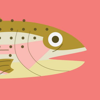 Charlotte M. - Freelance Freelance Digital Illustrator